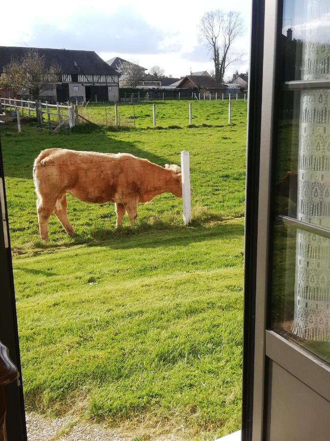 L'Opaline, Jolie Maison Avec Jardin 6 Pers,10Km Honfleur, Linge Et Internet Inclus Beuzeville Luaran gambar