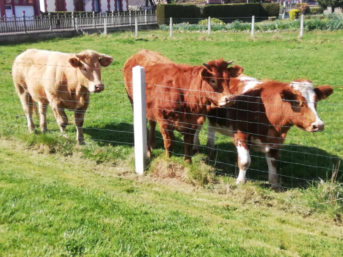 L'Opaline, Jolie Maison Avec Jardin 6 Pers,10Km Honfleur, Linge Et Internet Inclus Beuzeville Luaran gambar