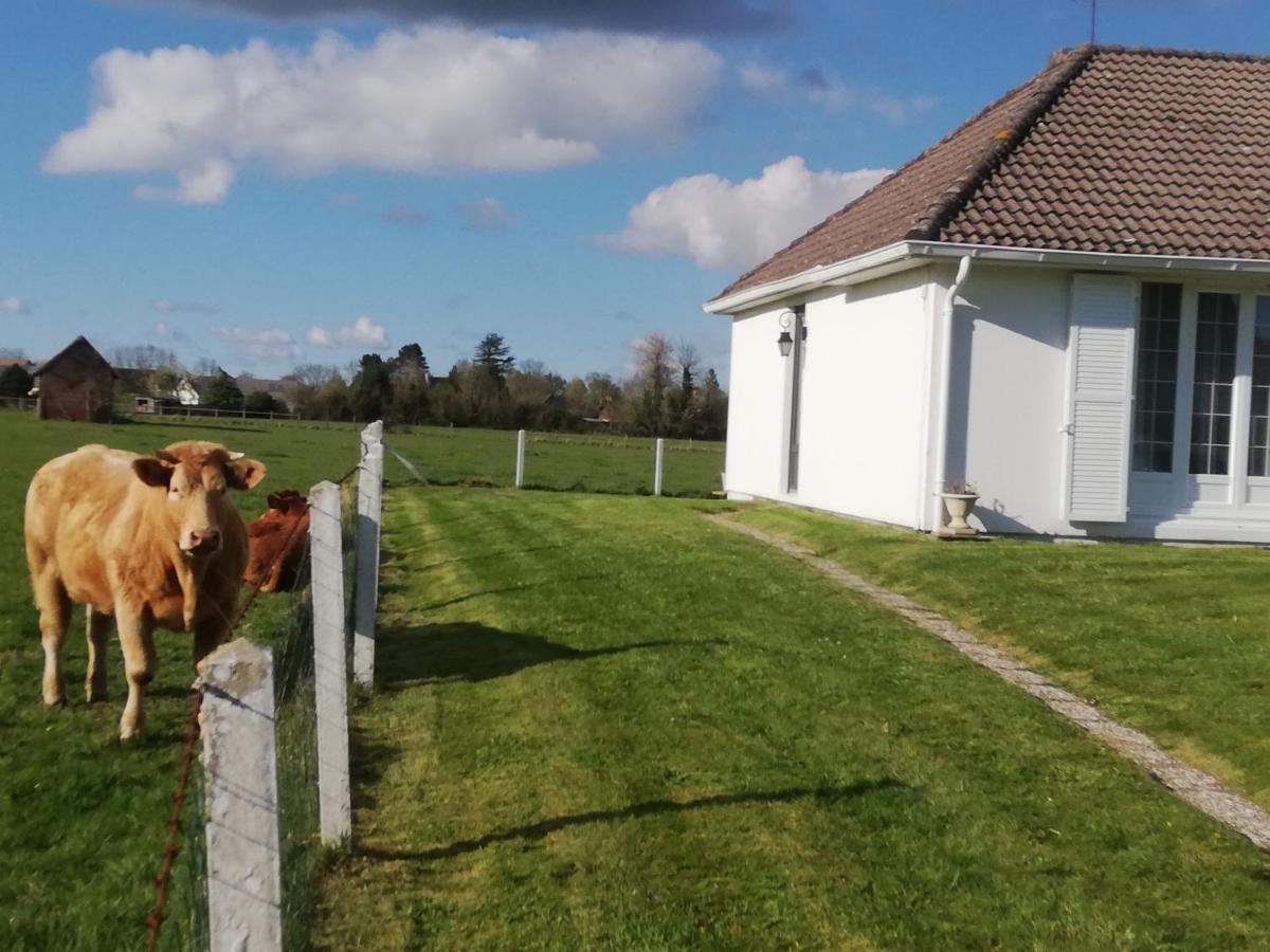 L'Opaline, Jolie Maison Avec Jardin 6 Pers,10Km Honfleur, Linge Et Internet Inclus Beuzeville Luaran gambar
